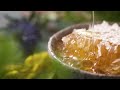 Vitatree propolis spray promotional clip