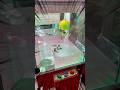 ラブブが当たる衝撃のクレーンゲームを見つけた #mega柴 #ポケカ #オリパ #ポケモン #ラブブ #クレーンゲーム