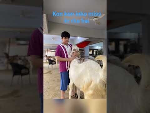 answer in comment