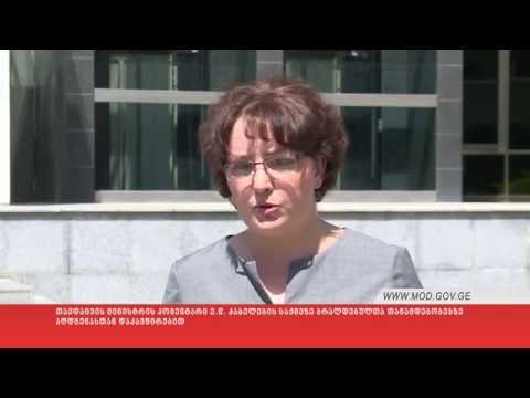 თინათინ ხიდაშელის კომენტარი