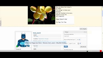 How to set up and use the skype widget