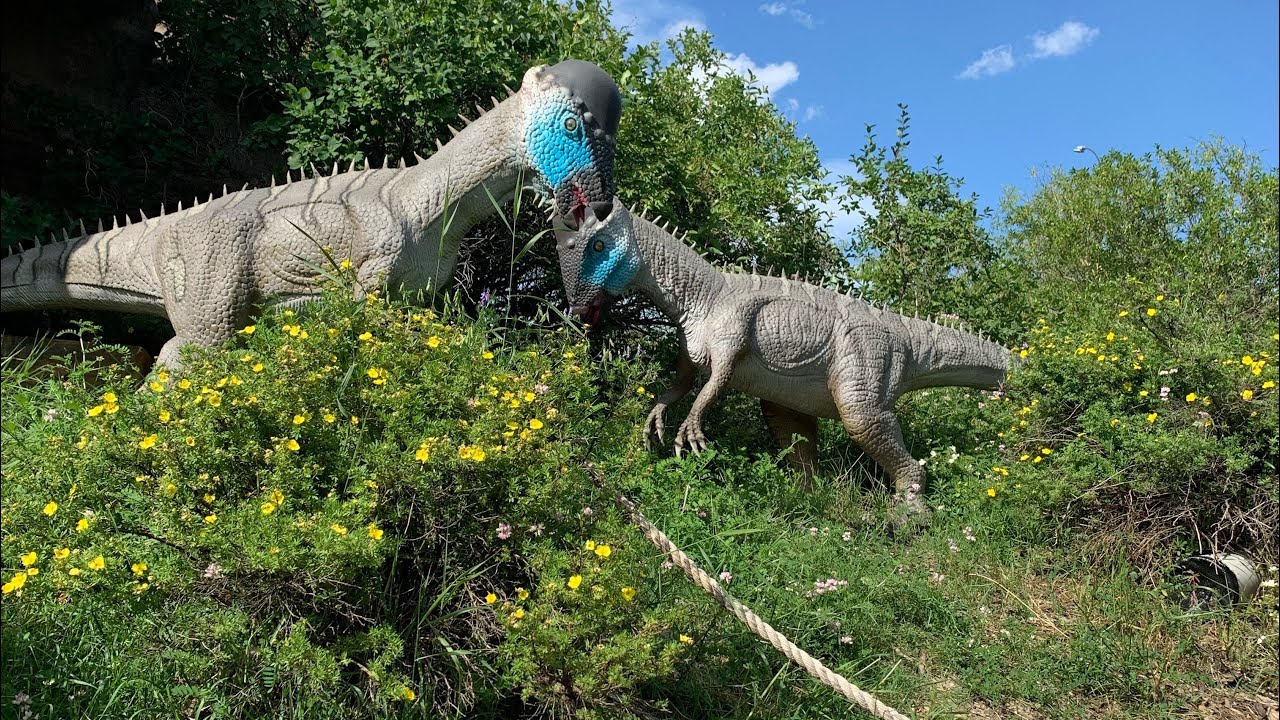 Vlog Calgary Zoo with Family!