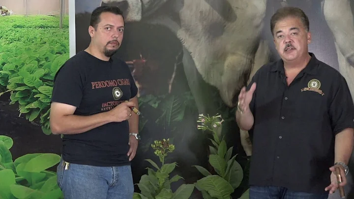Nick Perdomo and Silvio Loaisiga Explain the Reproduction and Harvesting of Tobacco Seeds