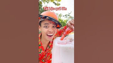 Tài Lộc quá lớn, chế tạo cam tài Lộc quá đã rồi #tailoc #tailocqualon #funny #shorts #vuinhon