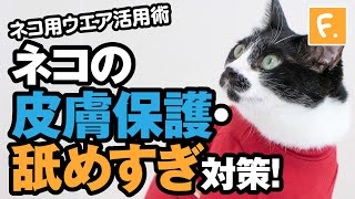 【犬猫の服 フルオブビガー】シンプル袖付きネコ用Tシャツ 過剰グルーミング対策、皮膚保護に