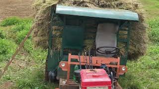 xem bà con nông dân cắt lúa by jơrai tây nguyên vlogs 868 views 6 months ago 8 minutes, 7 seconds