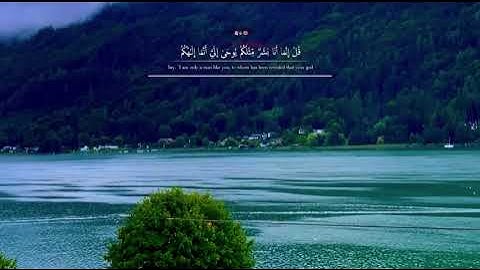 مقطع من سورة الكهف حالات واتساب