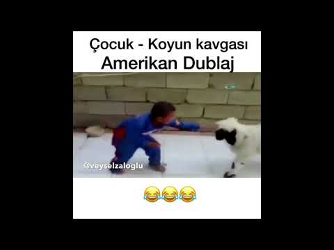 Çocuk - Koyun Kavgasi - Amerikan Dublaj