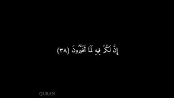 كرومات شاشه سوداء سورة القلم (٣٤ - ٤١) ياسر الدوسري {5}