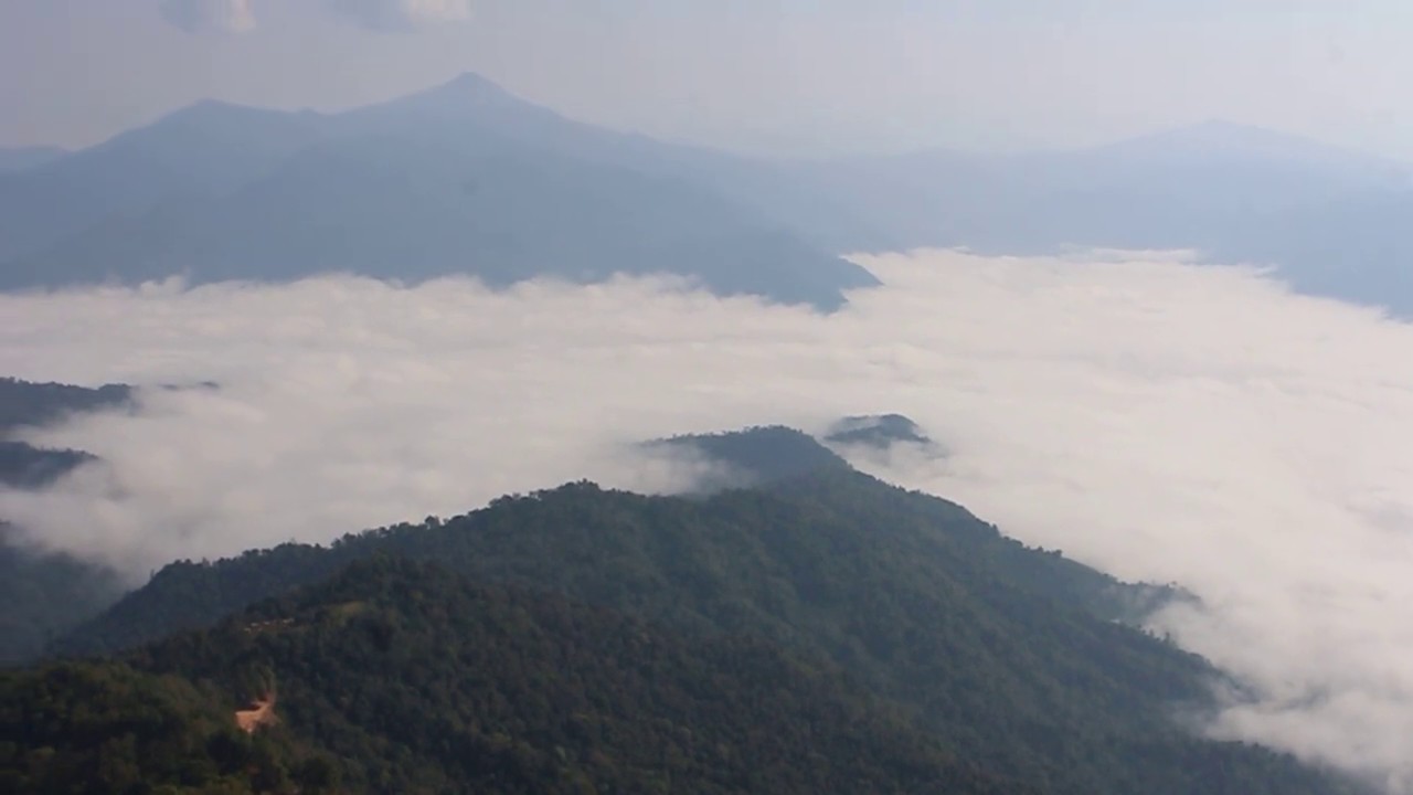 Doi Pha Tang  Chiang Rai , Thailand  - Free Video Footages