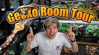 Gecko Room Tour 2023! *Where We Keep 200 Geckos*