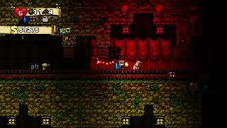 Max% no damage hell run (no damage hell run #21). [Spelunky]