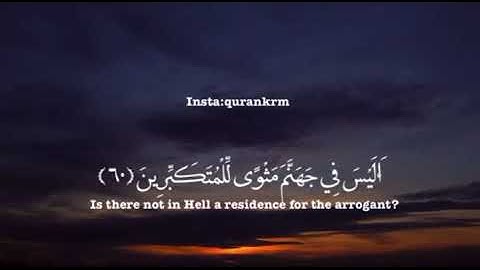 آيات من سورة الزمر للقارئ سعود الشريم