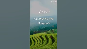 سورة آل عمران الاية 193 بصوت خاشع ♥️