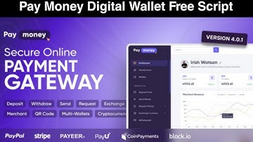 Pay Money Digital Wallet Website Free php Script With Admin Panel