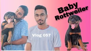 BABY Rottweiler | VLOG 057 | ROHAIL HASHMI |