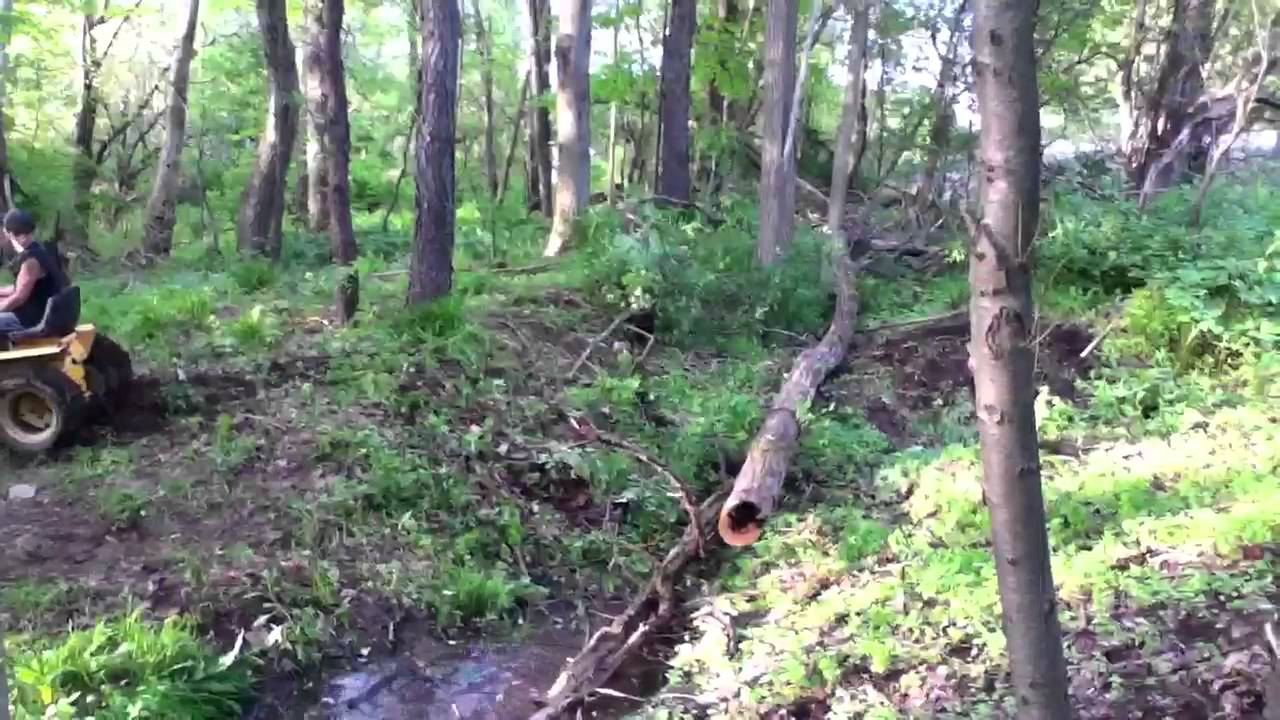 Cleaning out the Woods Part 2