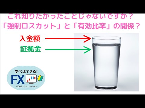 FXスクール　メリット　女性　用語 :    これ知りたかったことじゃないですか？「強制ロスカット」と「有効比率」の関係？