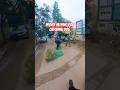 Gojo Single Dog Catch Up #shorts #ytviral #streetdogrevival #pets #abc #amazing