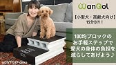犬の階段すべり止めdiy ダイソー ピタッと吸着マット トイプードルりんた Youtube