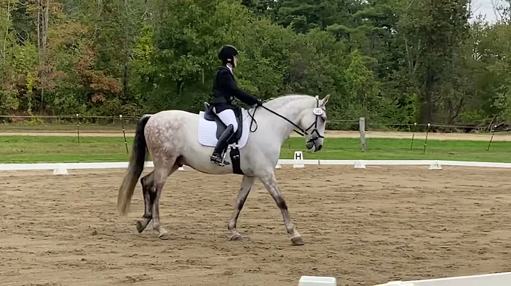 Oyster River Dressage first level test 1