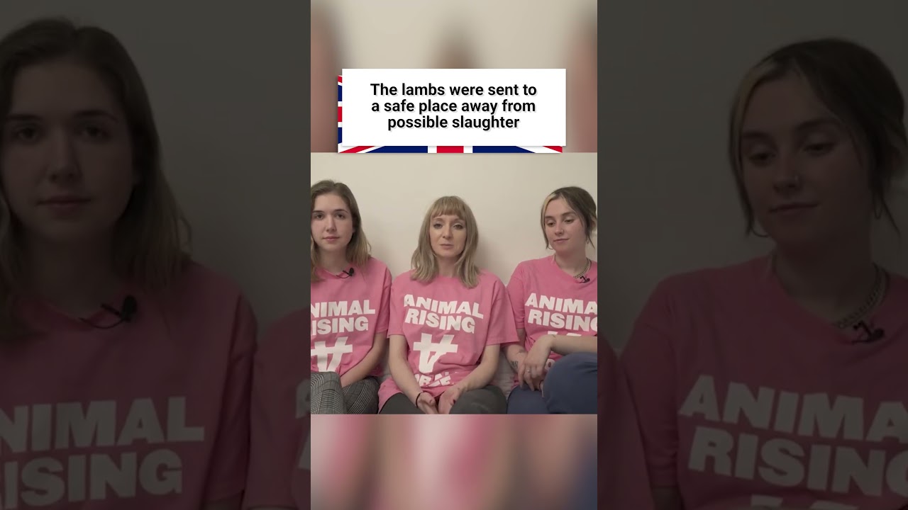 Animal rights activists attacked the royal estate! 😱 