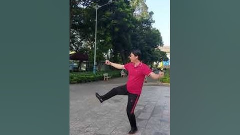 Thái cực quyền 32 thức mặt sau