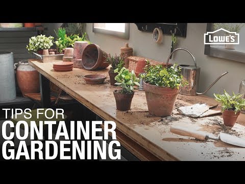 how-to-plant-a-container-garden-|-gardening-tips-and-tricks