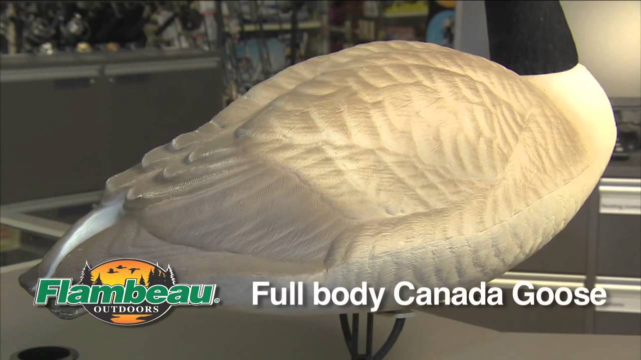 Full Body Goose Decoy From Canadian Tire YouTube