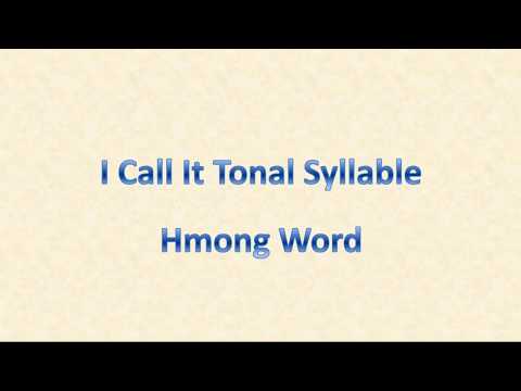 I call it Tonal Syllable Hmong Word