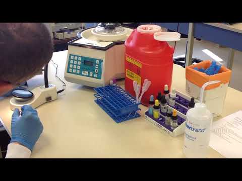 Direct Antibody Test