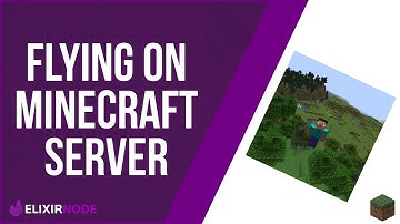 How to enable flying on your Minecraft server