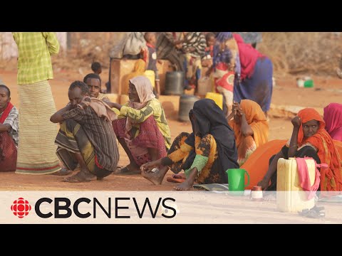 Millions in somalia facing hunger as drought continues