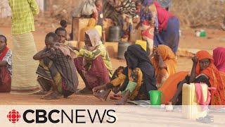 Millions in Somalia facing hunger as drought continues