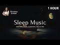 Silent symphony  melodies for peaceful slumber  maansee kamat