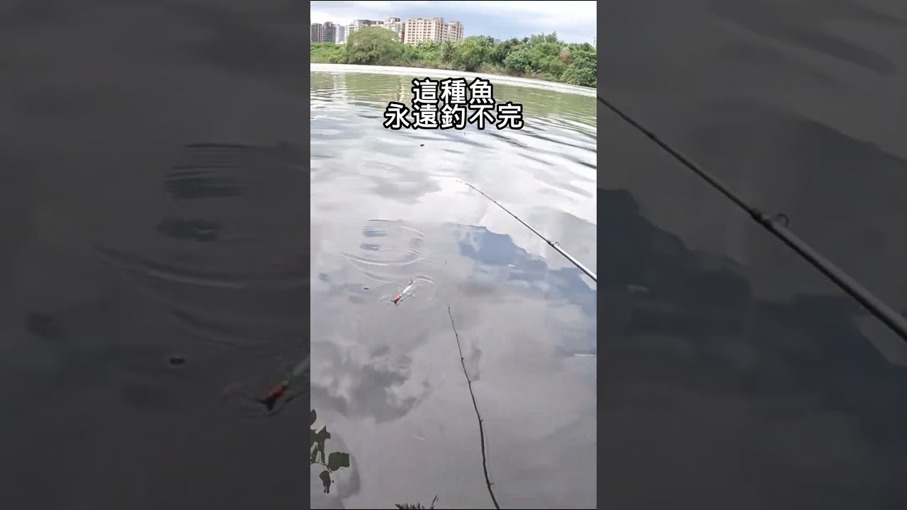 多精?不信拉不到?#fishing 縮圖