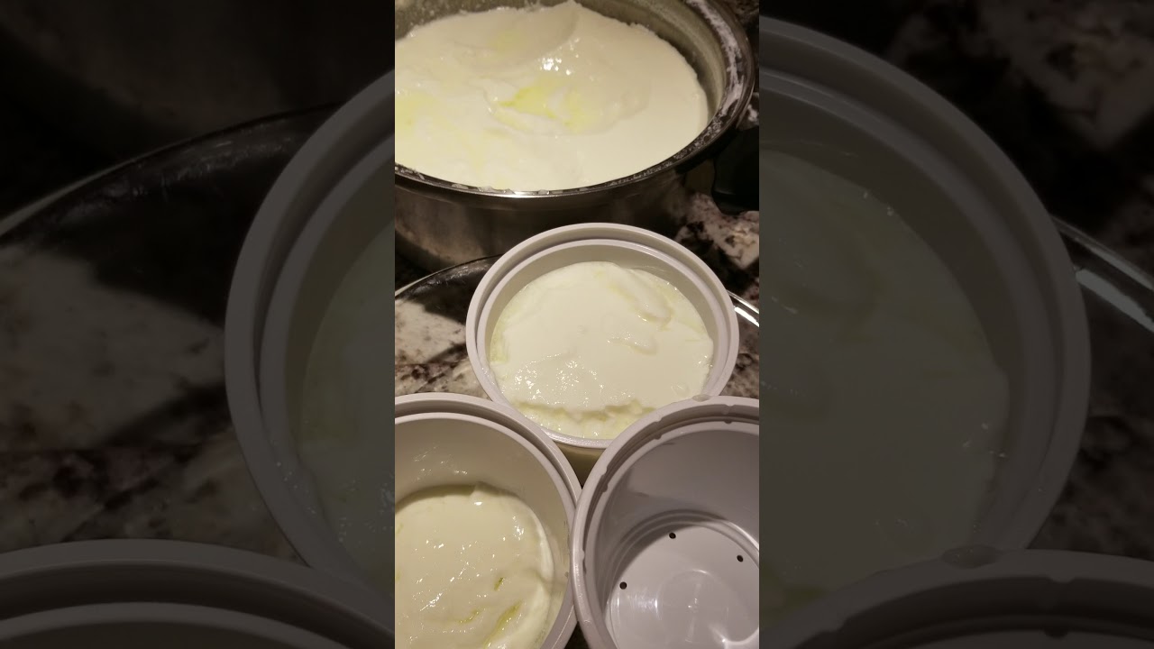 Homemade Yogurt how to store YouTube