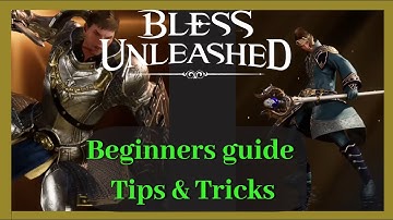 Bless Unleashed beginners guide /Bless Unleashed Tips and Tricks