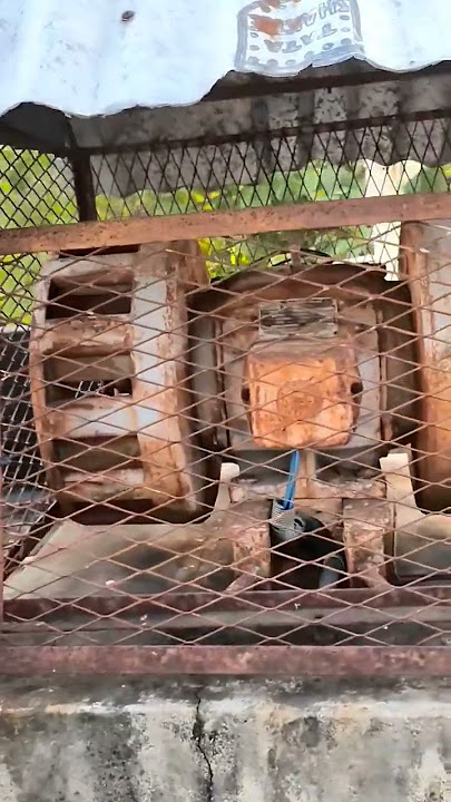 old induction motor used for siren # #shorts #youtubeshorts #ytshorts #viral #viralshorts #reels