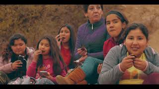 Flores de Estacion Ocoa