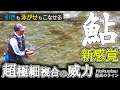 【鮎】これぞ至高のライン 超極細複合メタルで釣果アップ 有田川支流で入れ掛かり出…