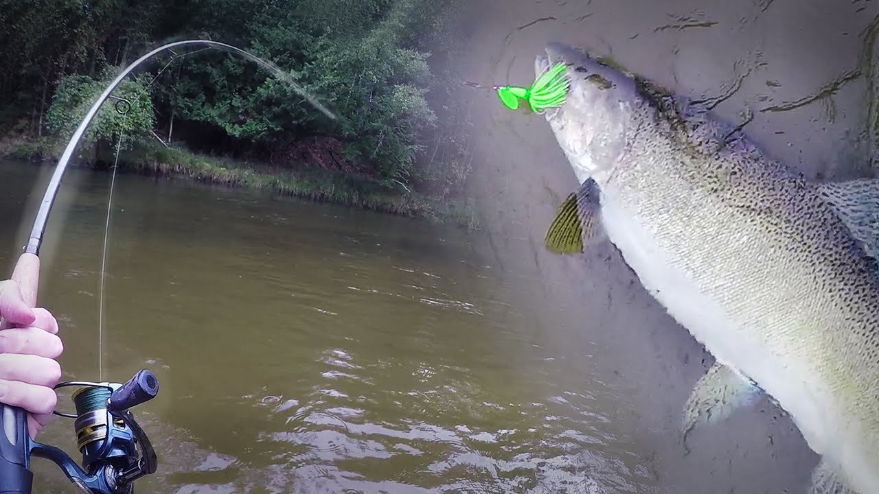 How To CATCH Salmon, Trout, & Steelhead With SPINNERS. (EASY To