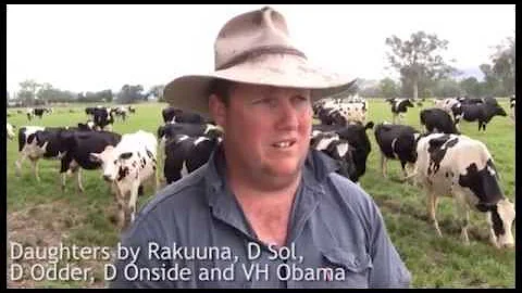 VikingGenetics - Brendan Glass, Victoria, Australia