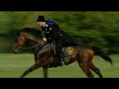 Video: Don Pferd