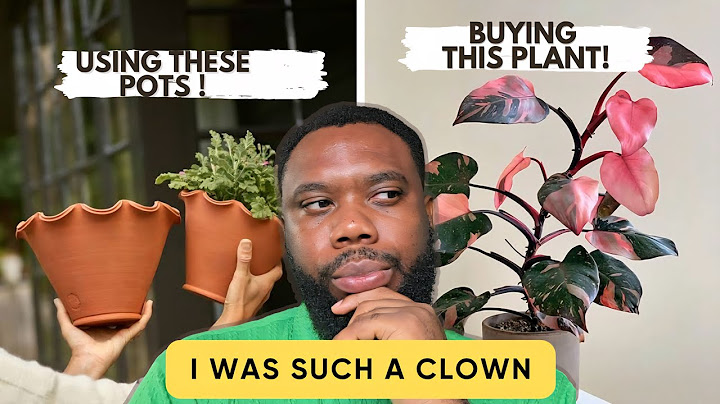 6 Plant Mistakes That Cost Me Time, Money & Leaves