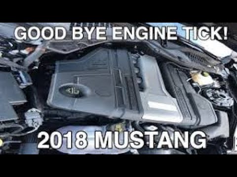 Does Ceratec ACTUALLY FIX the infamous Mustang Tick?!? 