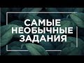 Самые необычные задания | ЕГЭ Биология | Даниил Дарвин