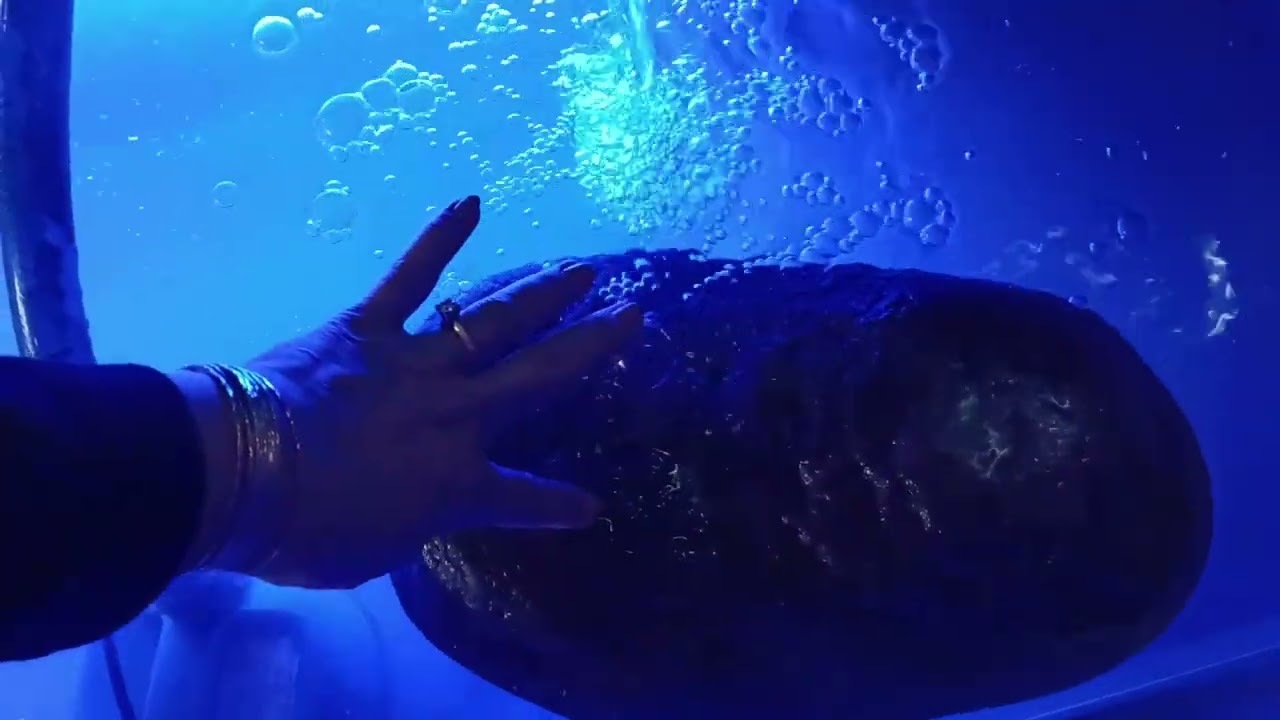 P 99 Chùa Phật Nằm sóc Trăng 