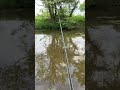 perch| #fishing #lurefishing #fish #lure #angling #outdoors #perch #perchfishing