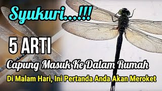 SYUKURI...!!! 5 ARTI CAPUNG MASUK KE DALAM RUMAH DI MALAM HARI MENURUT ISLAM, INI PERTANDA YANG BAIK